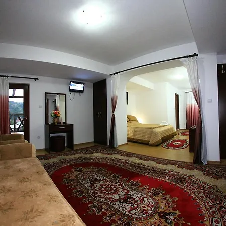 Pensiunea Elena 3*